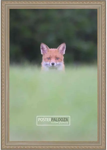 Produktbild von SpectraLite Faceware Pro